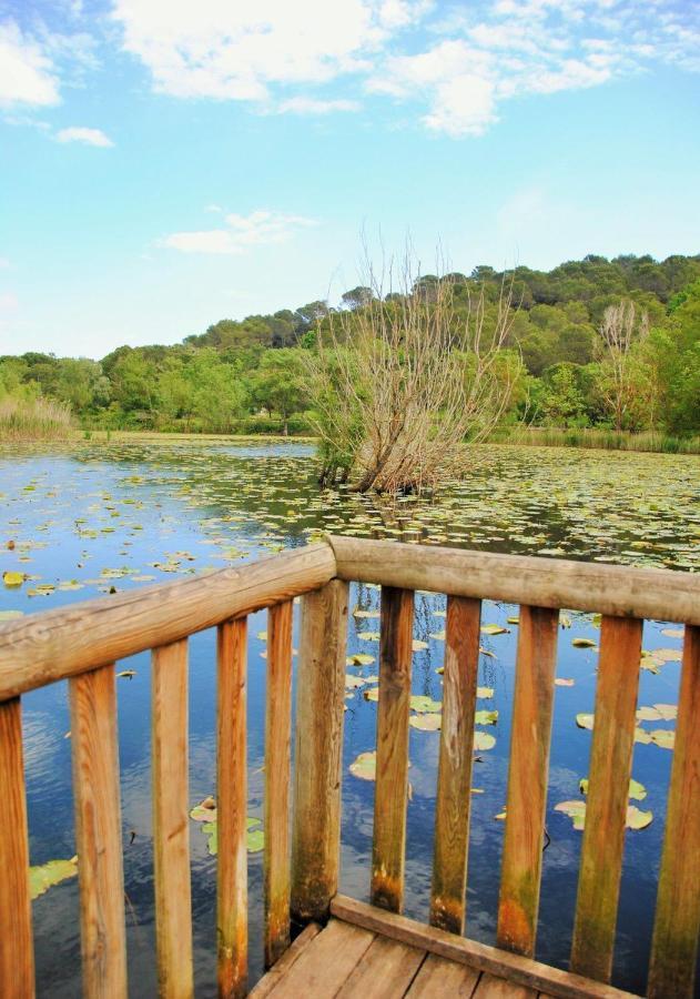 Marina Baie Des Anges Appartamento Villeneuve-Loubet Esterno foto